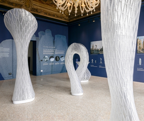 View of Symplasma exhibit.