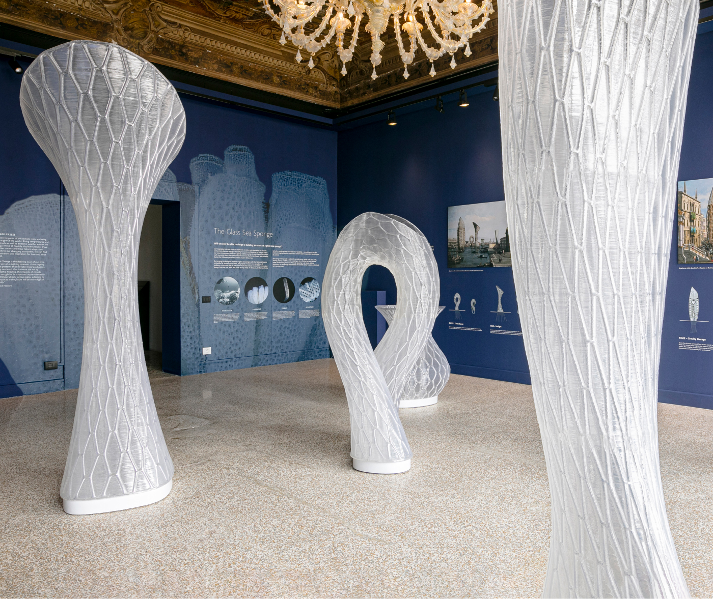 View of Symplasma exhibit.